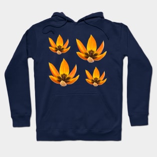 Tulips Hoodie